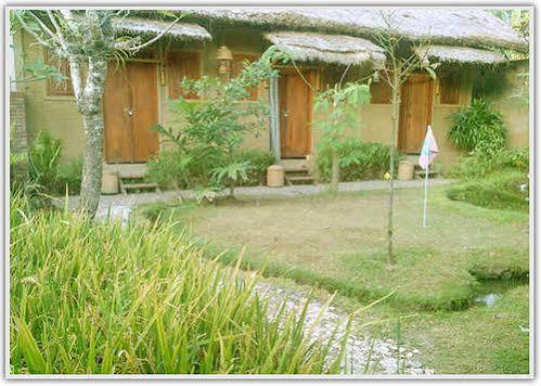 Baleku Homestay Trawangan Τζίλι Τραγουανγκάν Εξωτερικό φωτογραφία